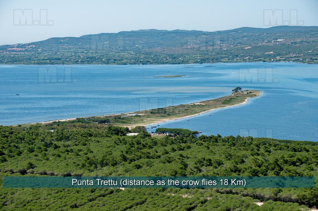 Il Fenicottero Διαμέρισμα Masainas Εξωτερικό φωτογραφία